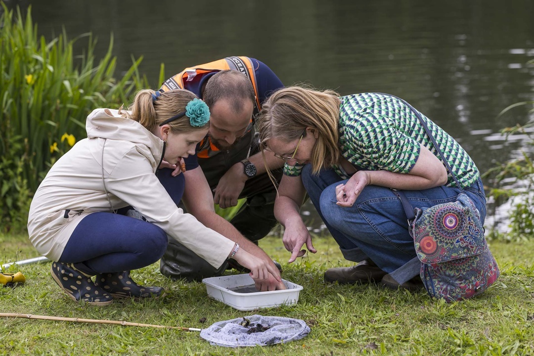 Bezoek 12 september onze Waterdag vol spetterende activiteiten bij natuurcentrum De Maashorst!
